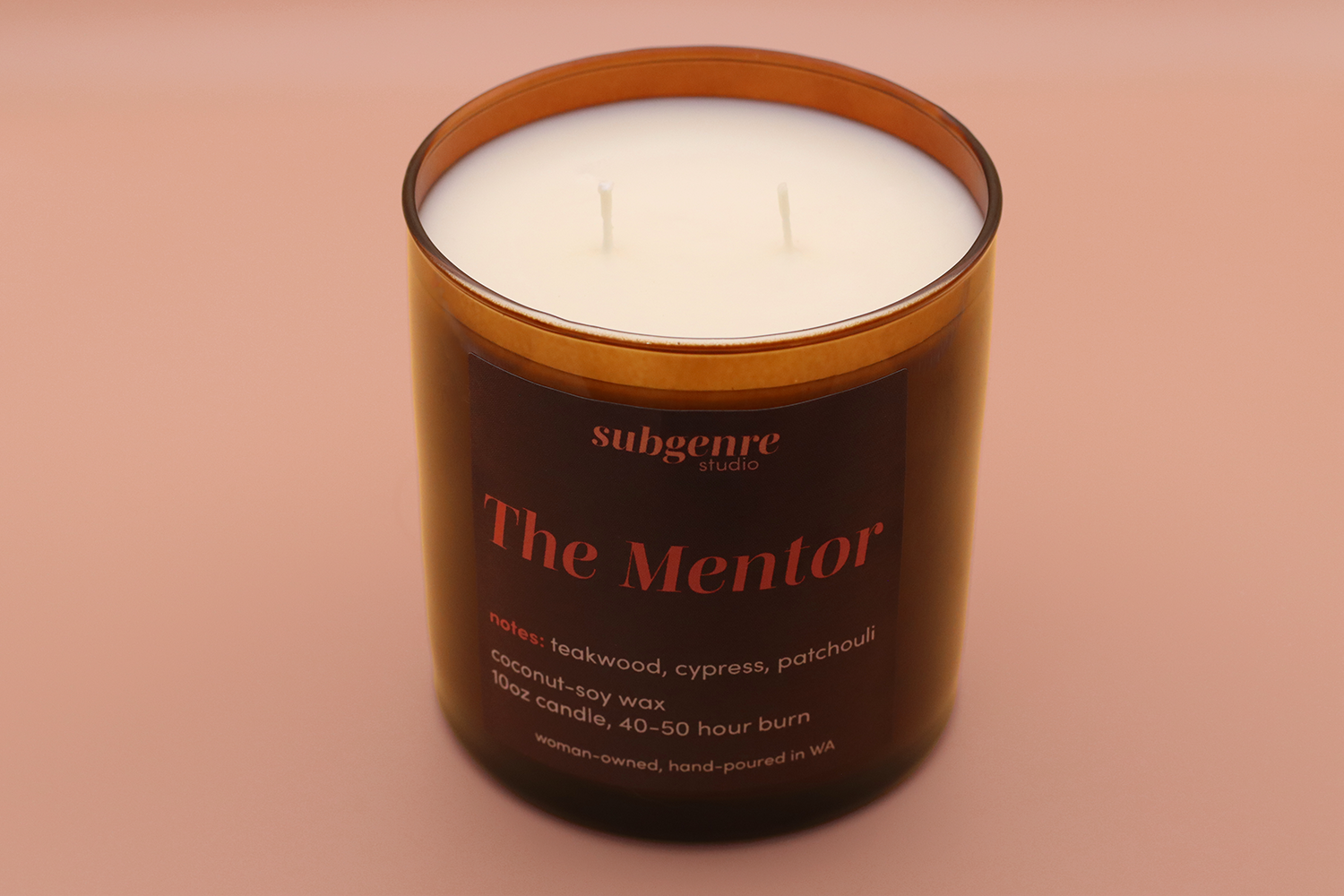 mentor2_sm.png
