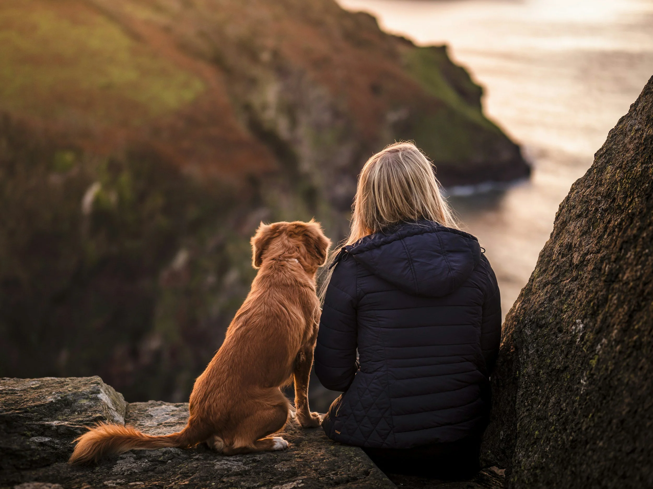 Person and dog sitting together facing the horizon—beginning their Canine Connection Coaching journey with Unleashed Kinnection™