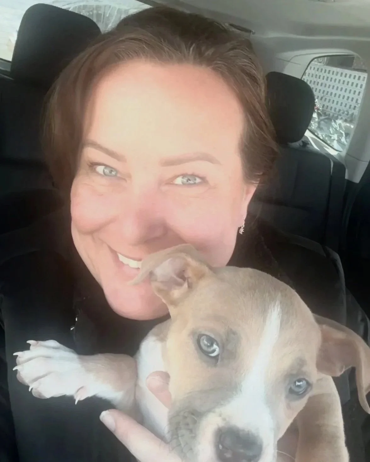 rescue dog training success