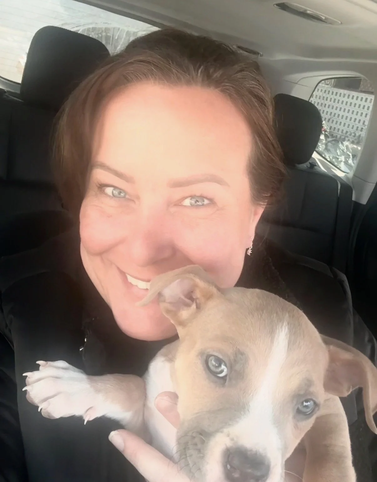 rescue dog training success story after Canine Kin Code™ coaching