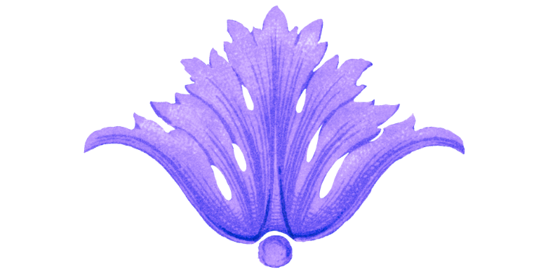 Green Seaweed Fan – Natural History Marine Specimen