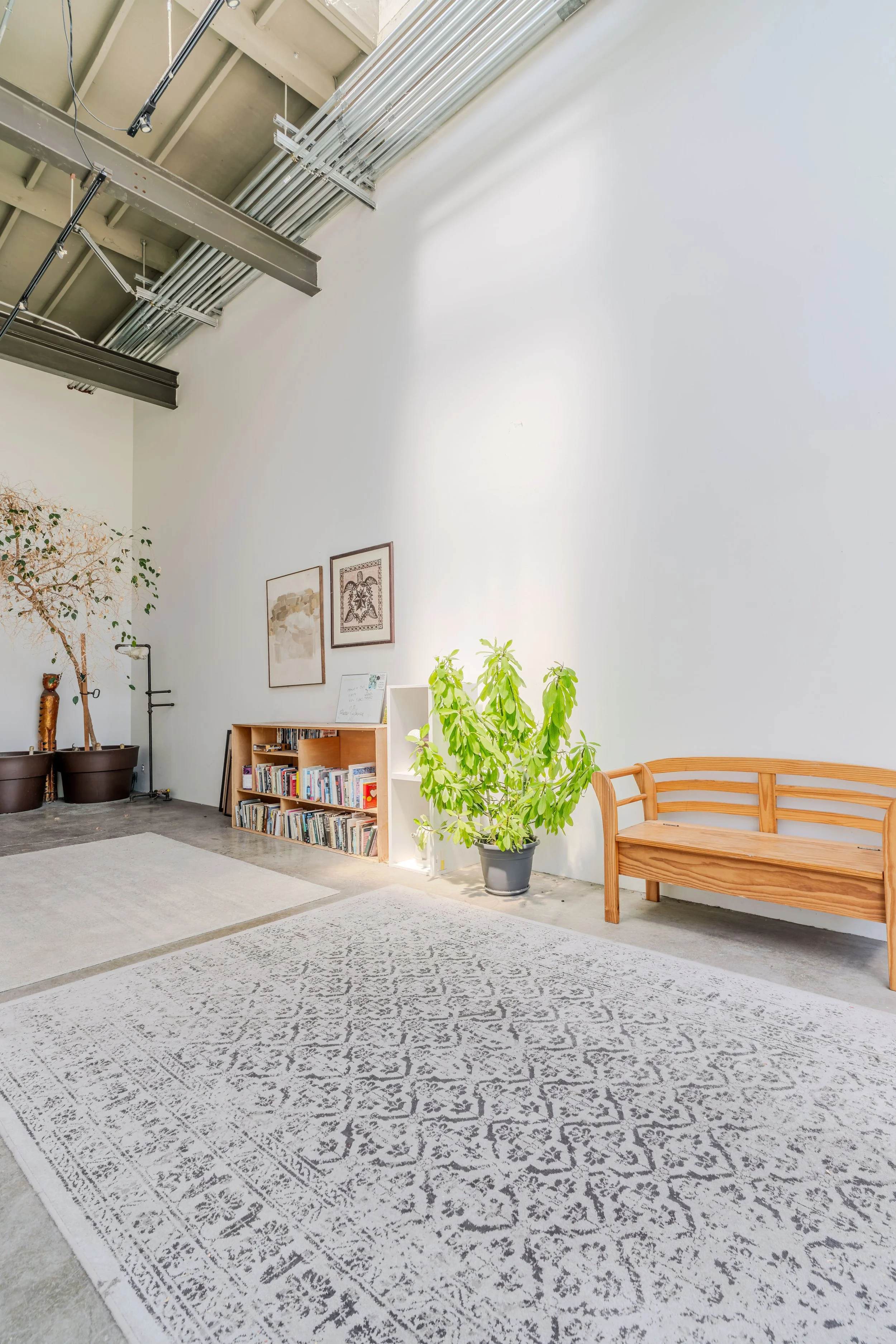 Interior of a modern space with a large gray and white patterned rug on a concrete floor, potted plants, a wooden bench, a bookshelf filled with books, and framed wall art. The ceiling features exposed industrial piping and beams.
