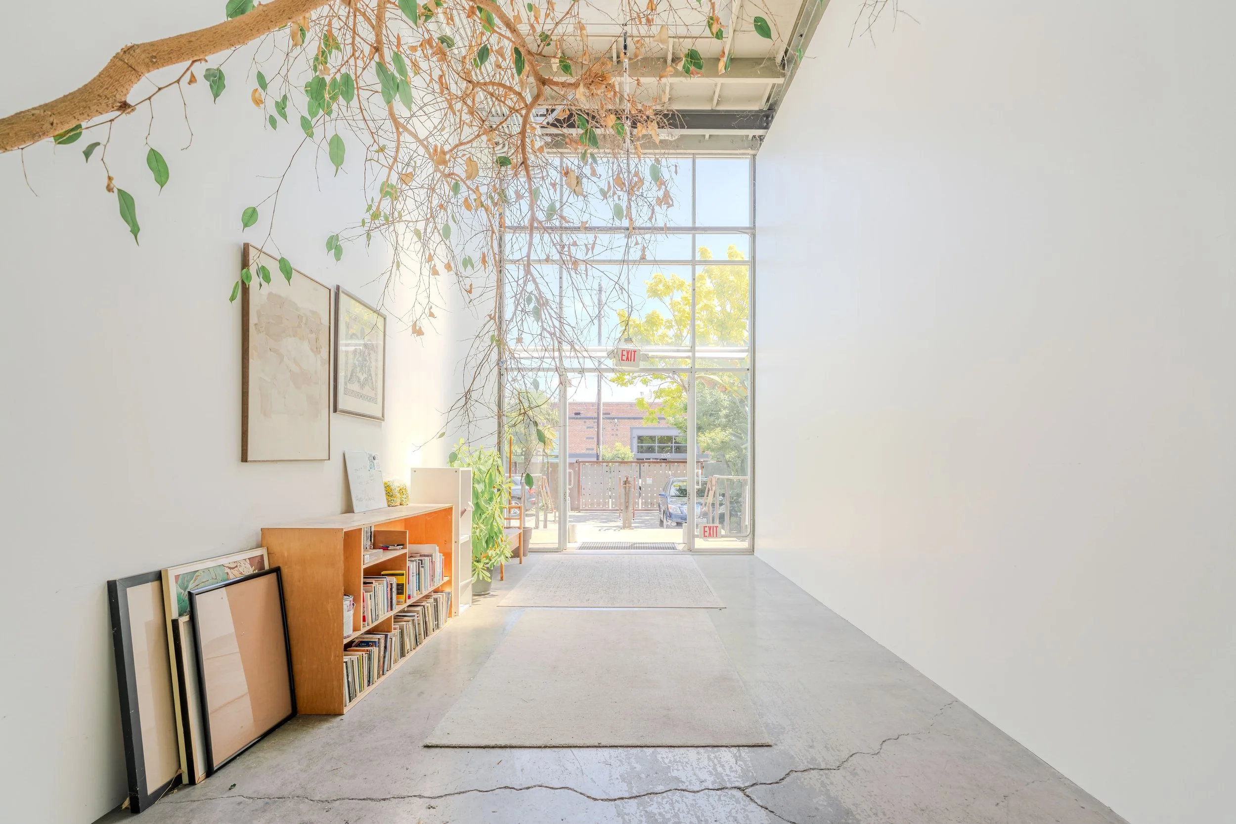Interior of a modern art gallery with white walls, large windows allowing natural light, and a few framed artworks leaning against the wall. There is a wooden bookshelf filled with books and a small corner with plants. A large tree branch with green 