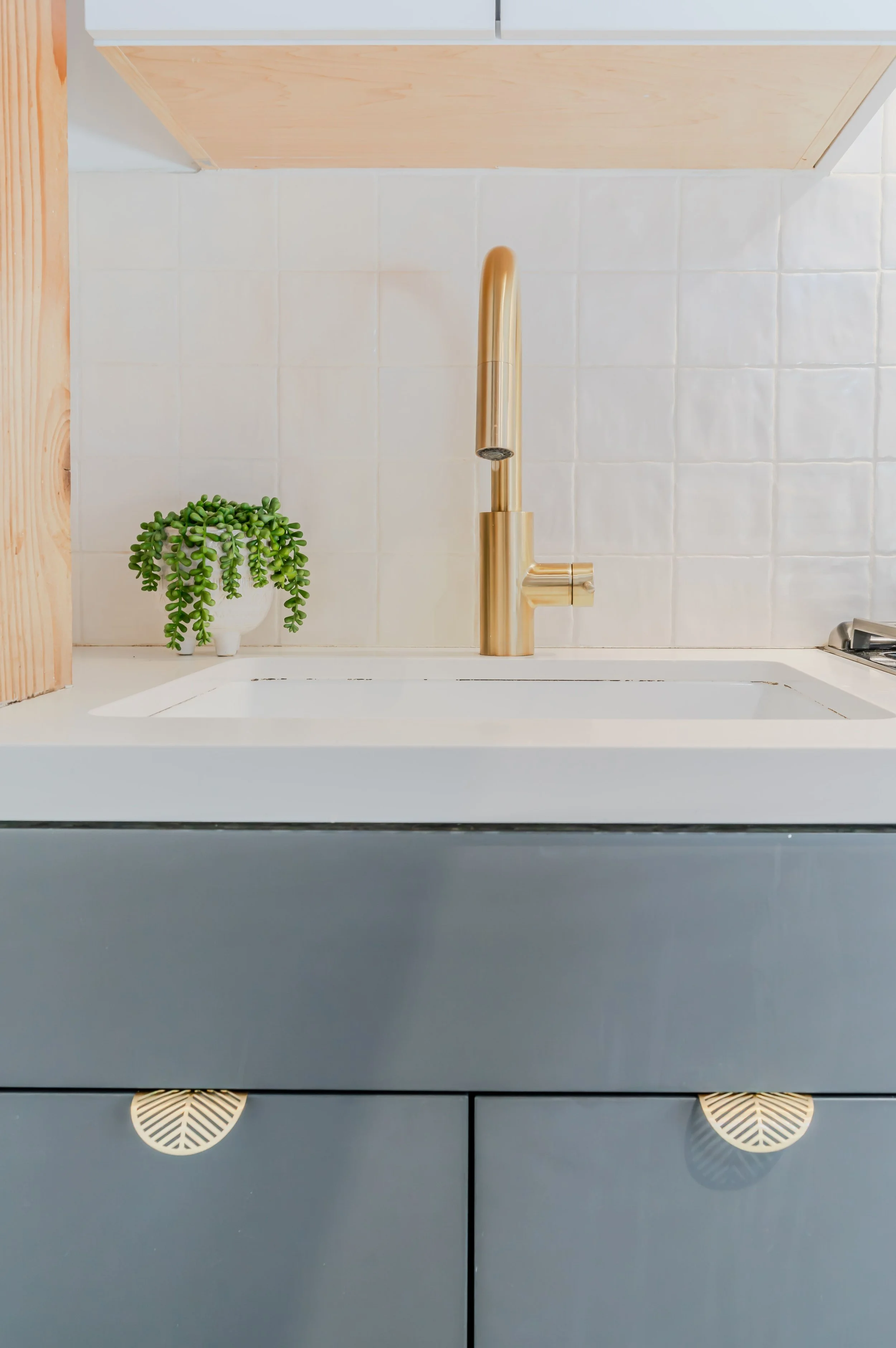 Kitchen sink with a gold faucet, white tile backsplash, a small potted succulent plant, and gray cabinets with round decorative handles.