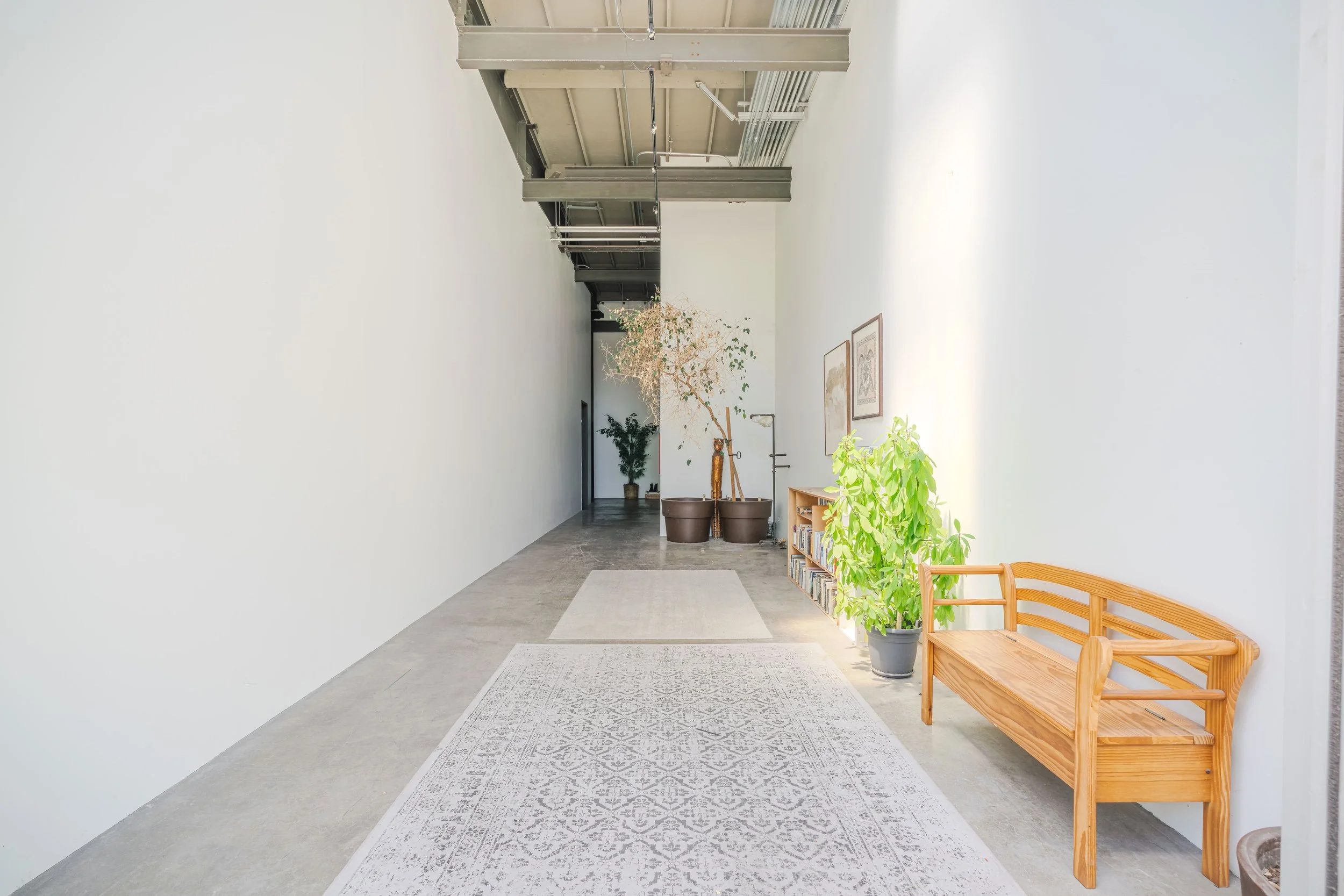 Bright hallway with white walls, potted plants, framed artwork, a wooden bench, a bookshelf, and an industrial staircase.