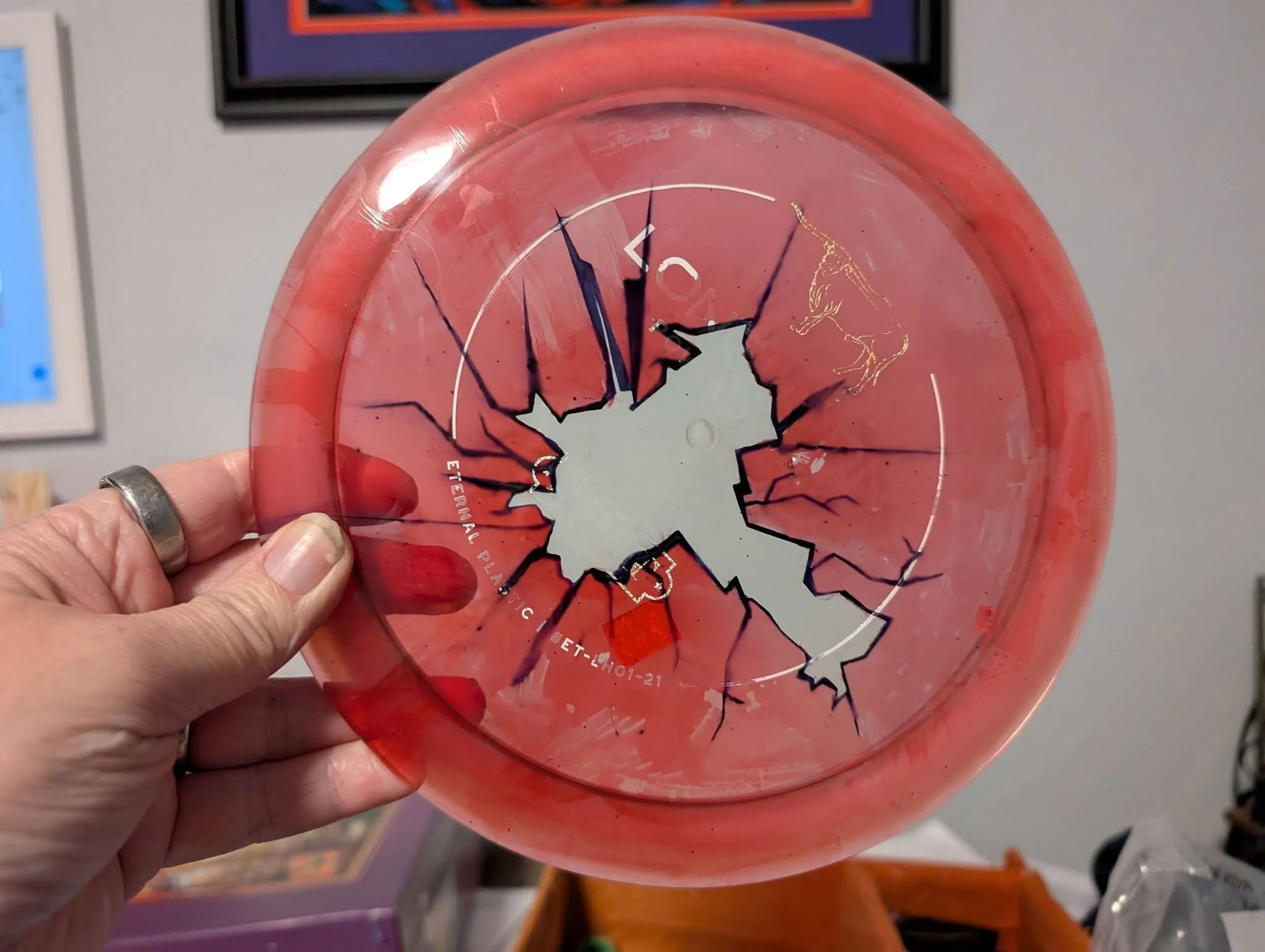 Broken disc Mint Disc Longhorn