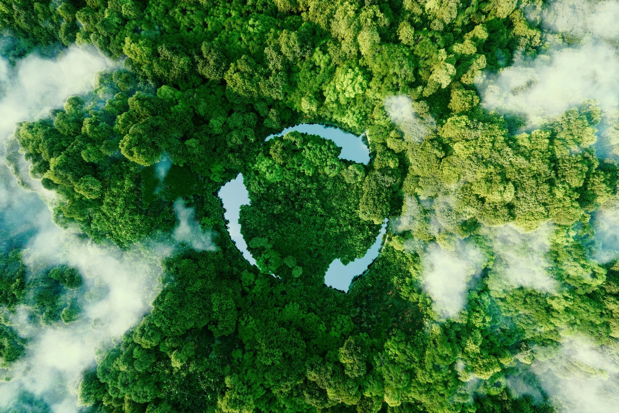 Forestry & Resource Mapping Workflow
