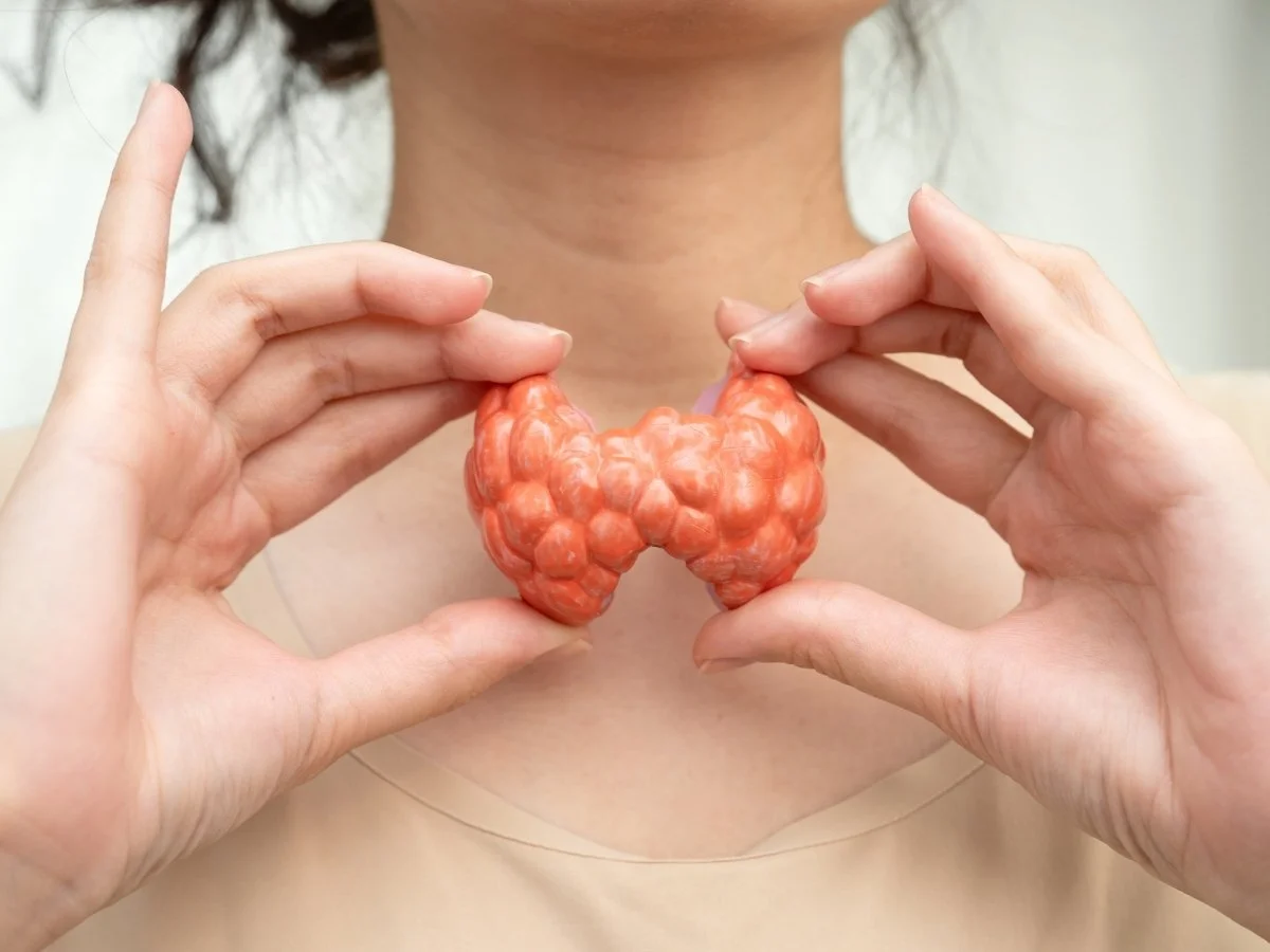 Hormonal Health, Thyroid Function &amp; Menopause 