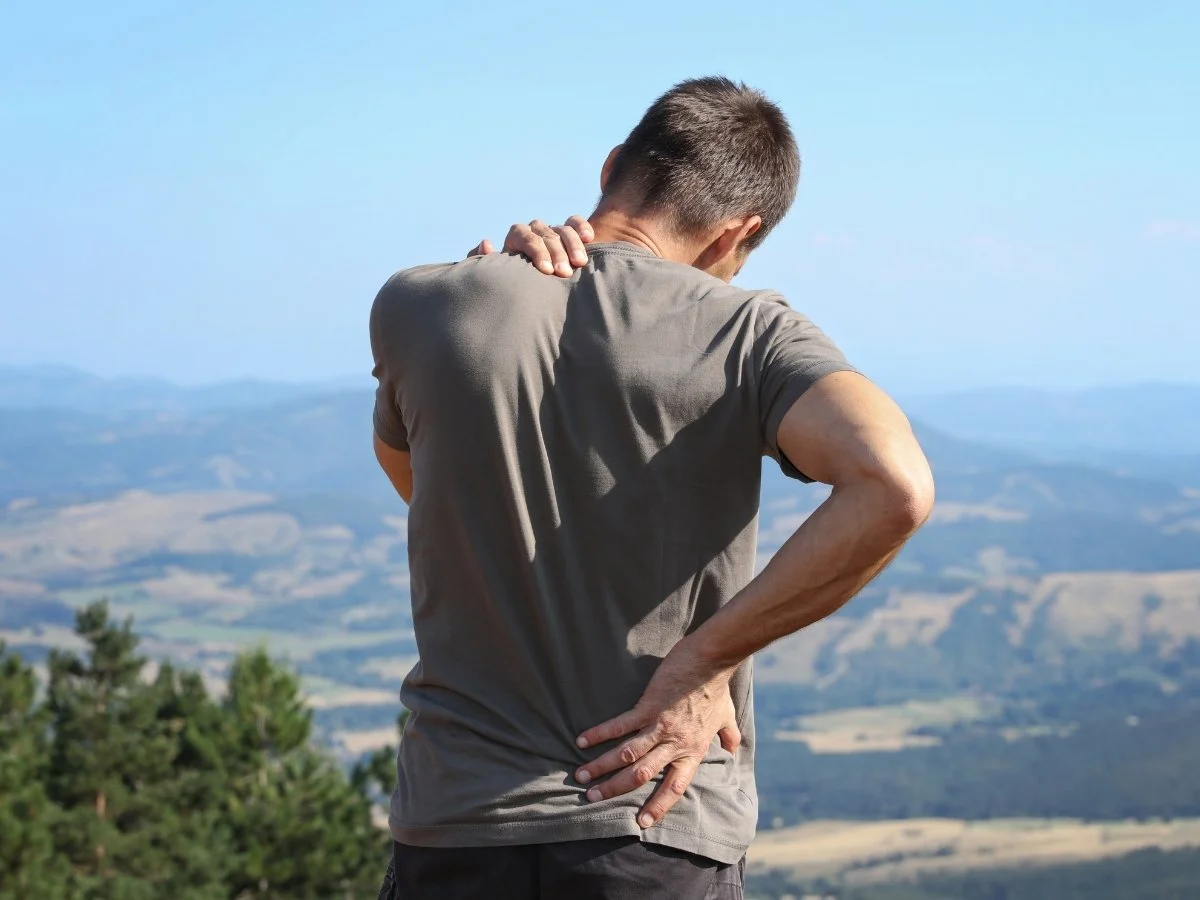 Back Pain, Neck Pain &amp; Sciatica