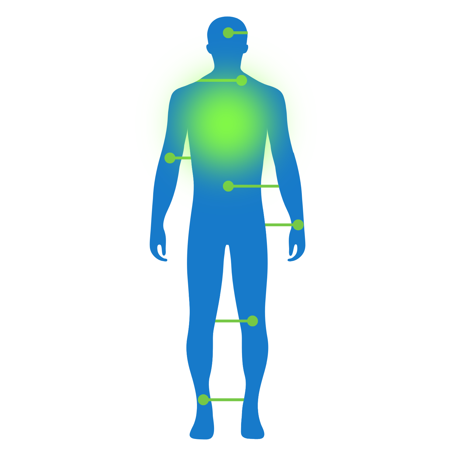 Whole body wellness care at Baker Chiropractic & Wellness in West Jefferson NC
