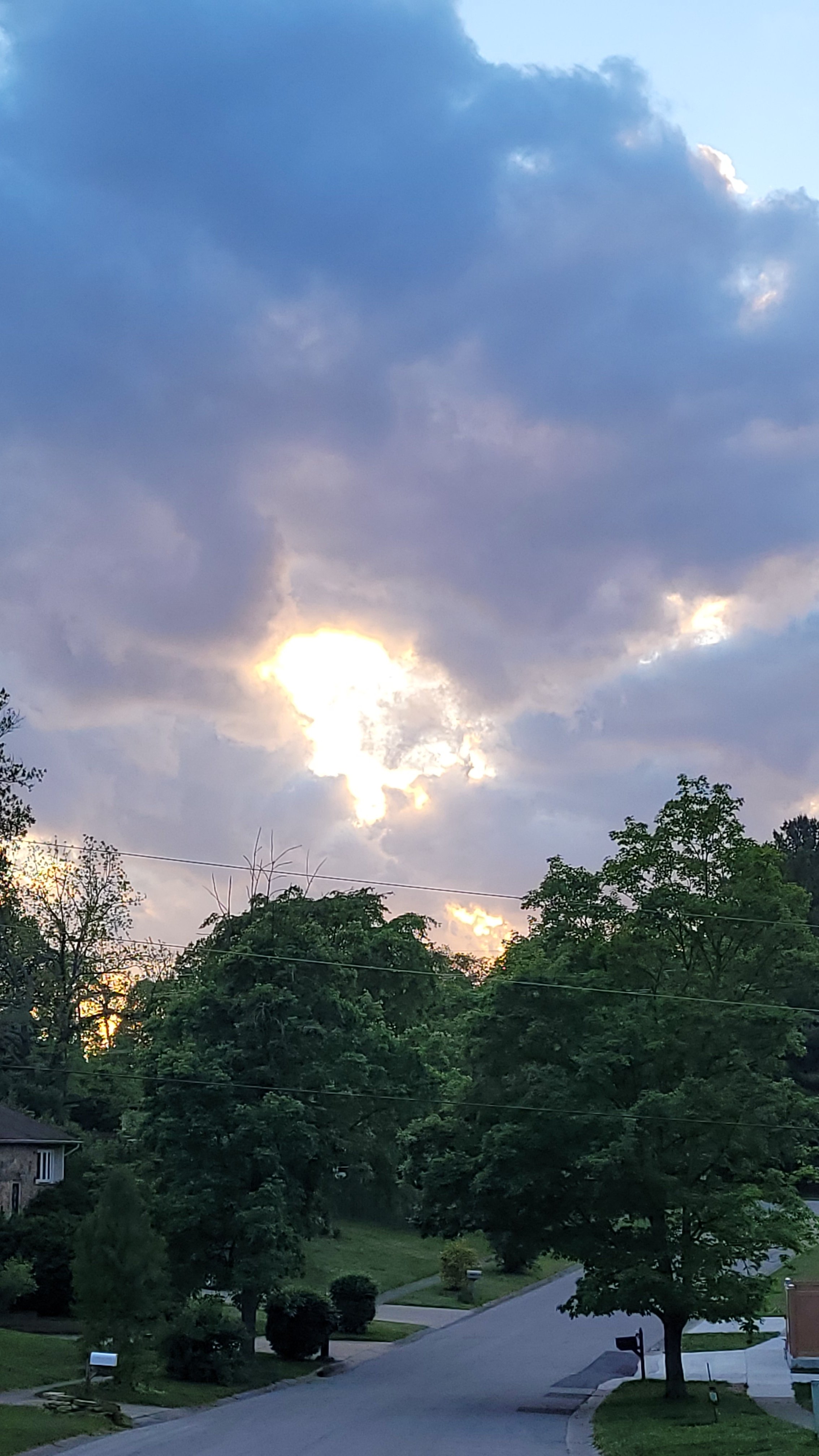20260513_202611.jpg