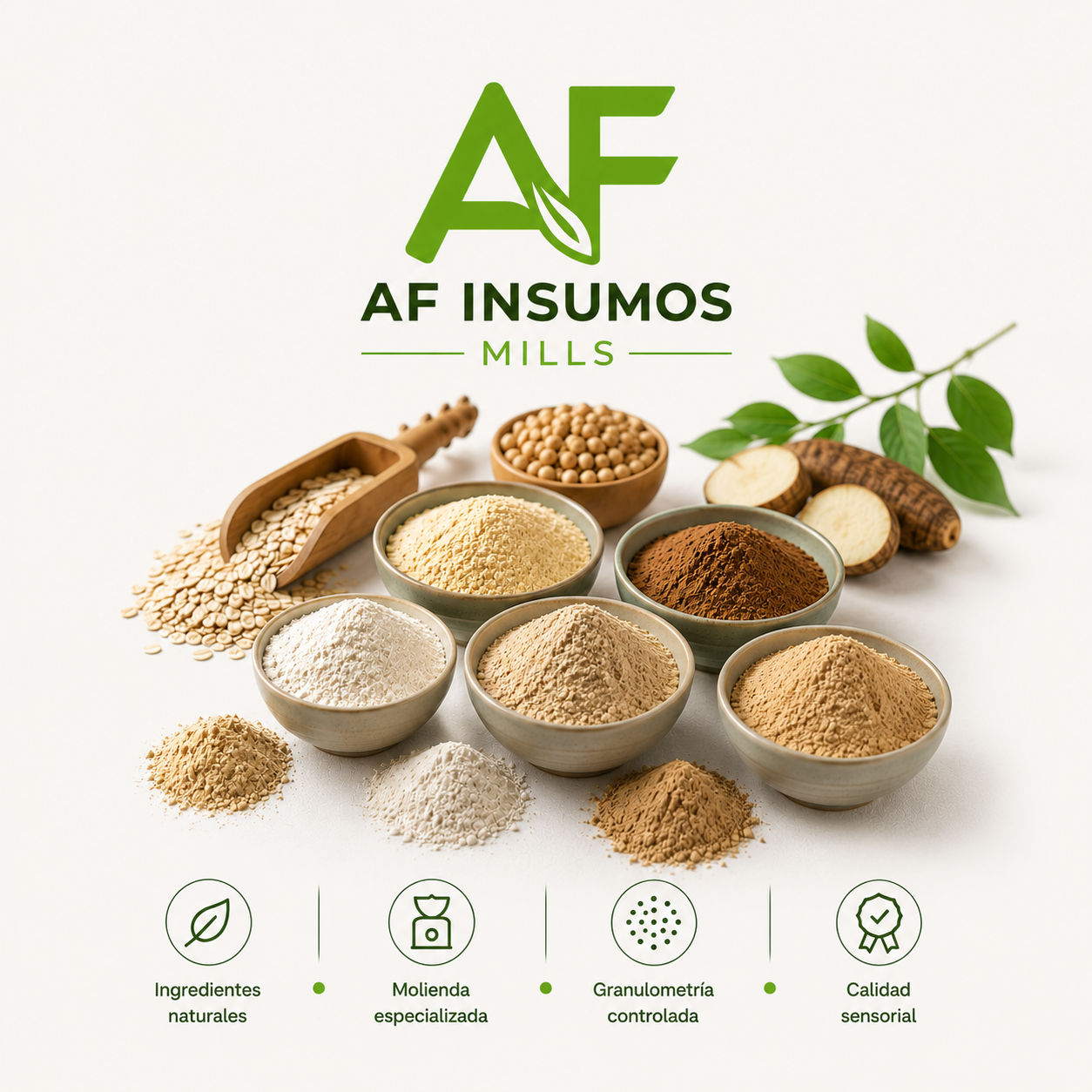 Varias especias en polvo y semillas de ingredientes naturales en tazones y platos, con hojas verdes y un logo de la empresa 'AF INSUMOS MILLS'.