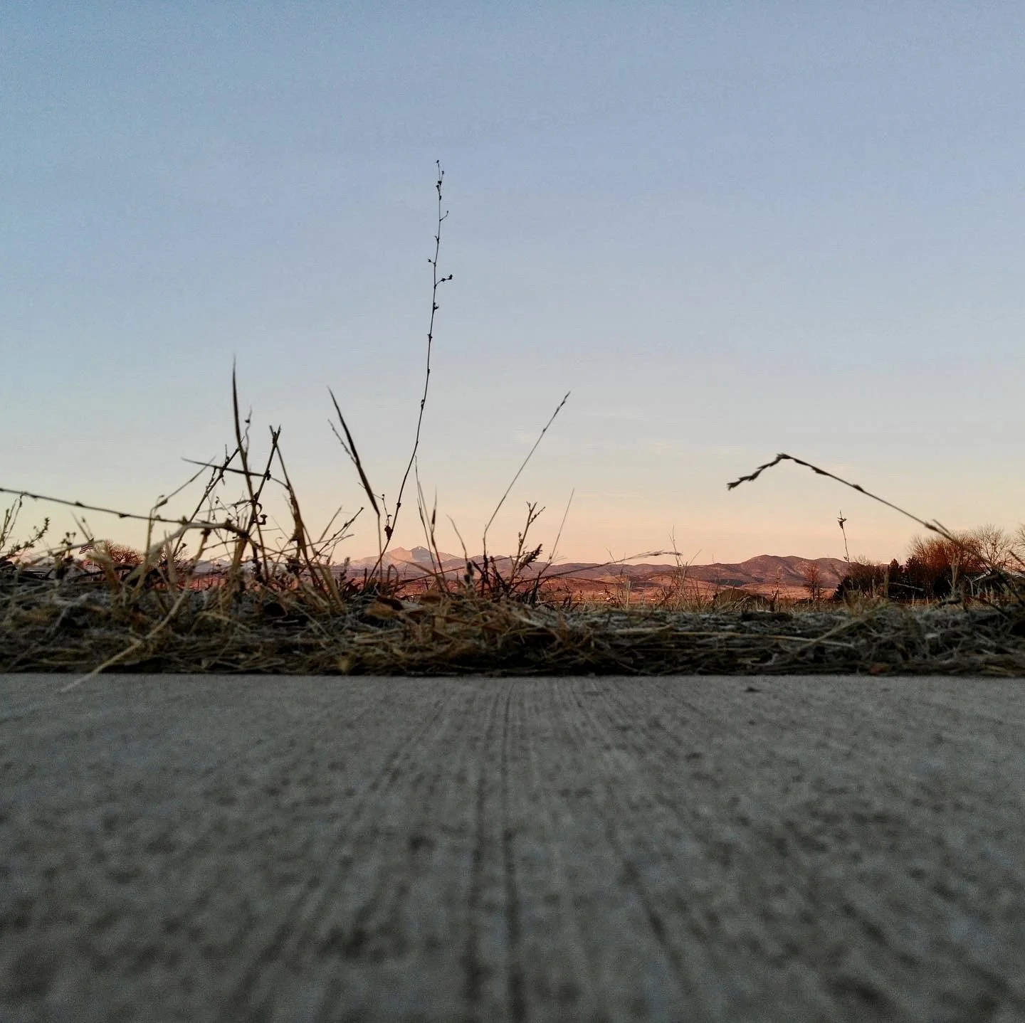 Low-angle view of dried grass and twigs on a concrete surface with mountains and a pastel sky at sunset in the background.