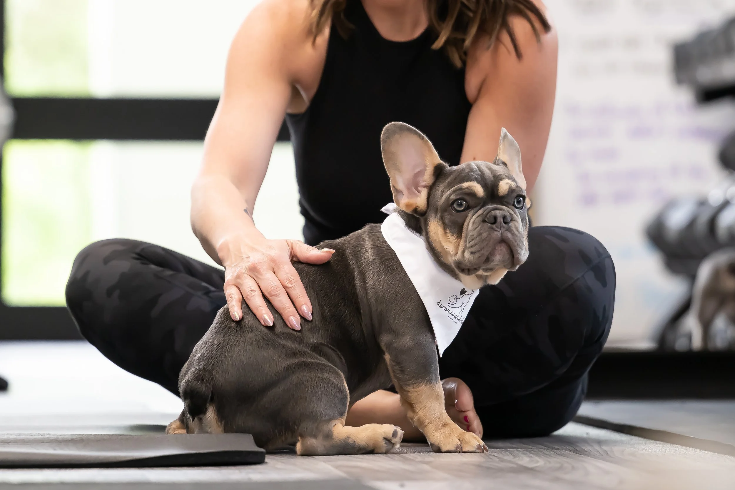 Downward Dog Marketing Set 05-2026-102.jpg