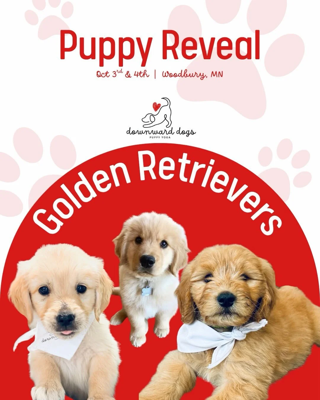 SURPRISE! The Golden Retrievers are BACK! 🐾

We had SO much fun last weekend that we&rsquo;re bringing them back for another round of puppy yoga! Swipe to see all the fun from last weekend 🐶

Link in bio to book! 📅 October 3rd &amp; 4th

#Puppyyog