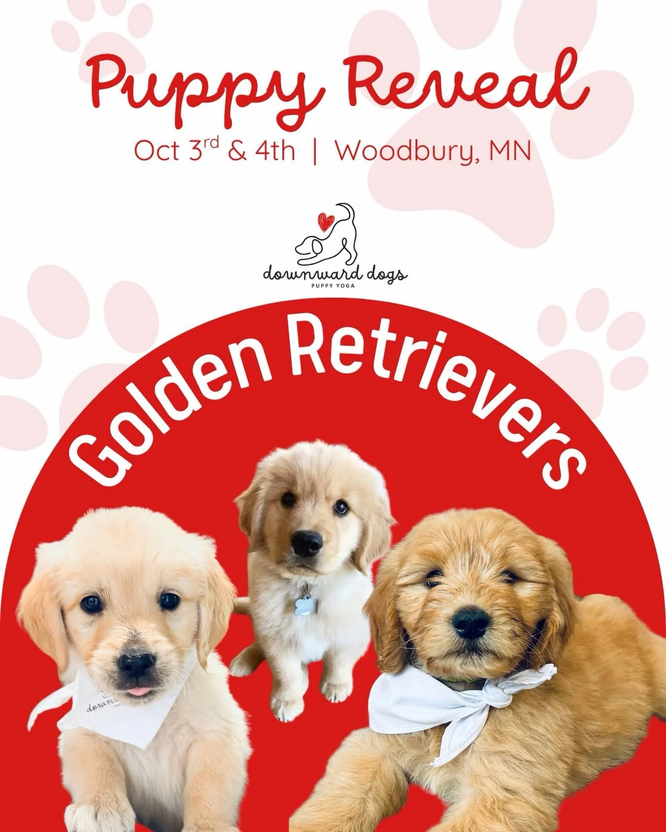 🐶 SURPRISE! The Golden Retrievers are BACK this weekend! 🐾

We had SO much fun last weekend that we&rsquo;re bringing them back for another round of puppy yoga! 🧘&zwj;♀️🐶

📅 Saturday &amp; Sunday, October 3rd &amp; 4th
🔗 Link in bio to book you