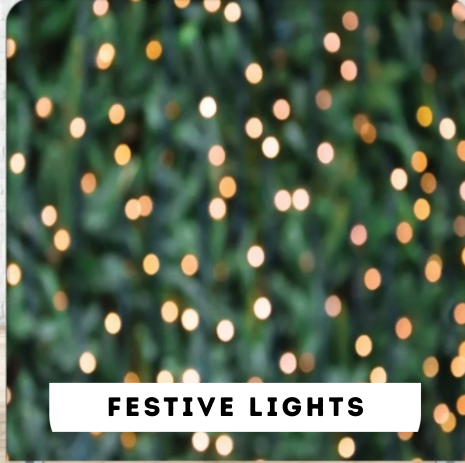 Blurred background of green foliage with warm white and pink blurry festive lights, and text that reads 'Festive Lights'.