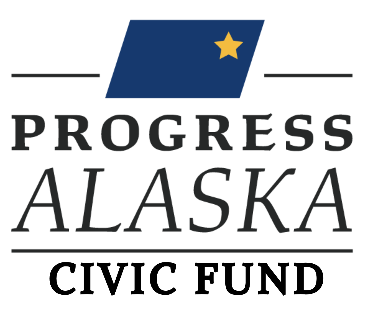 Civic Fund