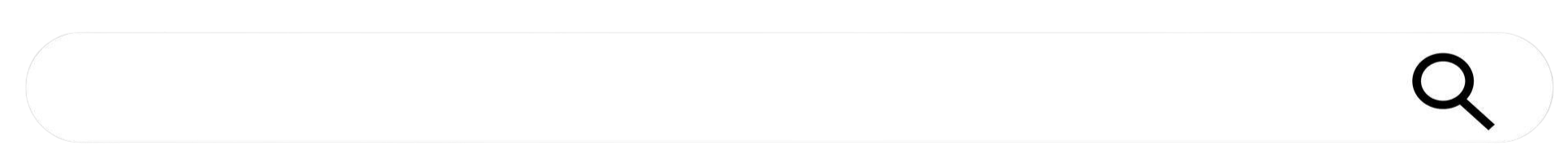 Empty search bar with a magnifying glass icon on the right
