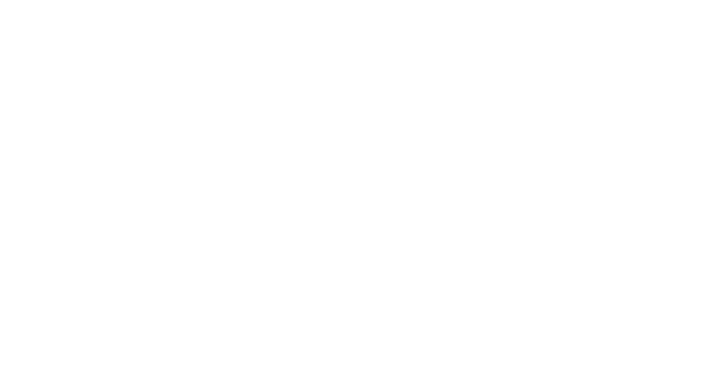 Brand USA.png