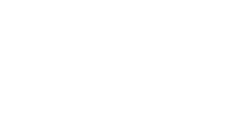 Ford West.png