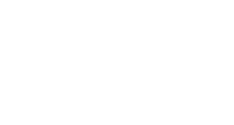 Texas Travel.png
