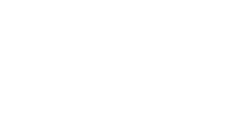 Denver Airport.png
