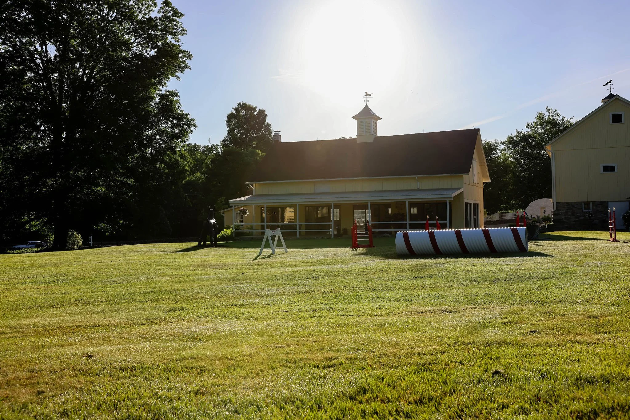A large grassy yard with a dog sculpture and agility equipment, beside a yellow house with white trim and a screened porch. Tall trees surround the area, and the sky is clear with the sun shining brightly.