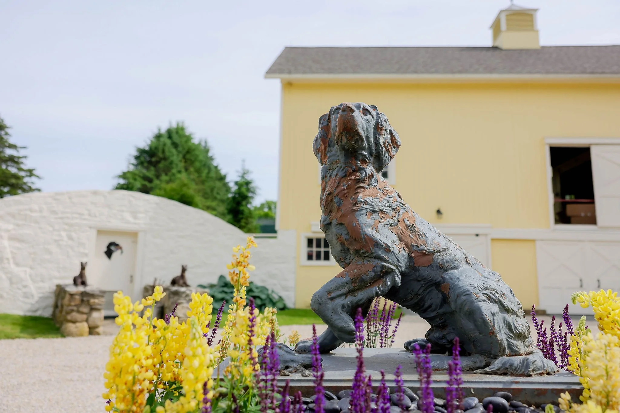 CanineCollege26-20.jpg