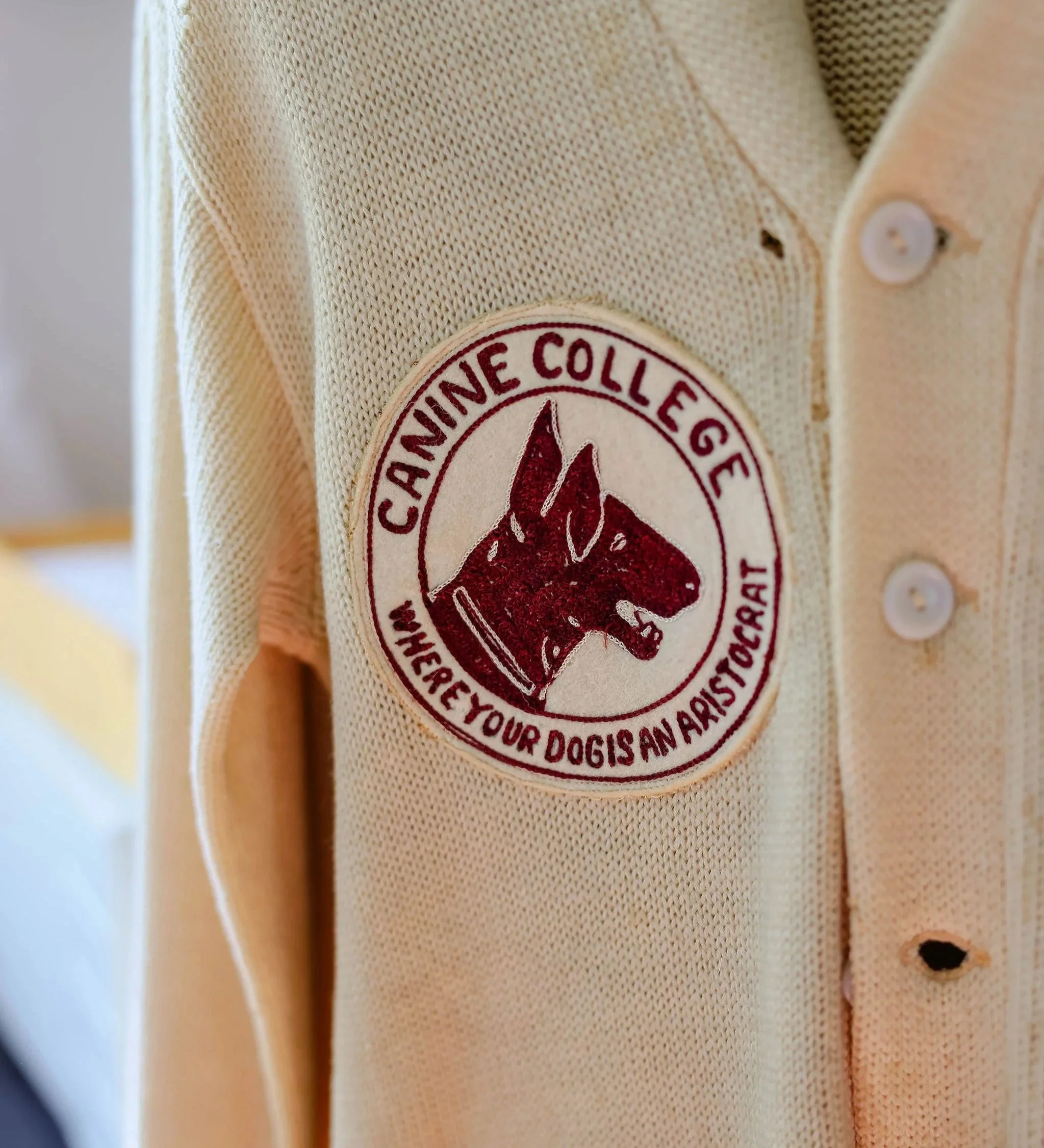 CanineCollege26-652.jpg