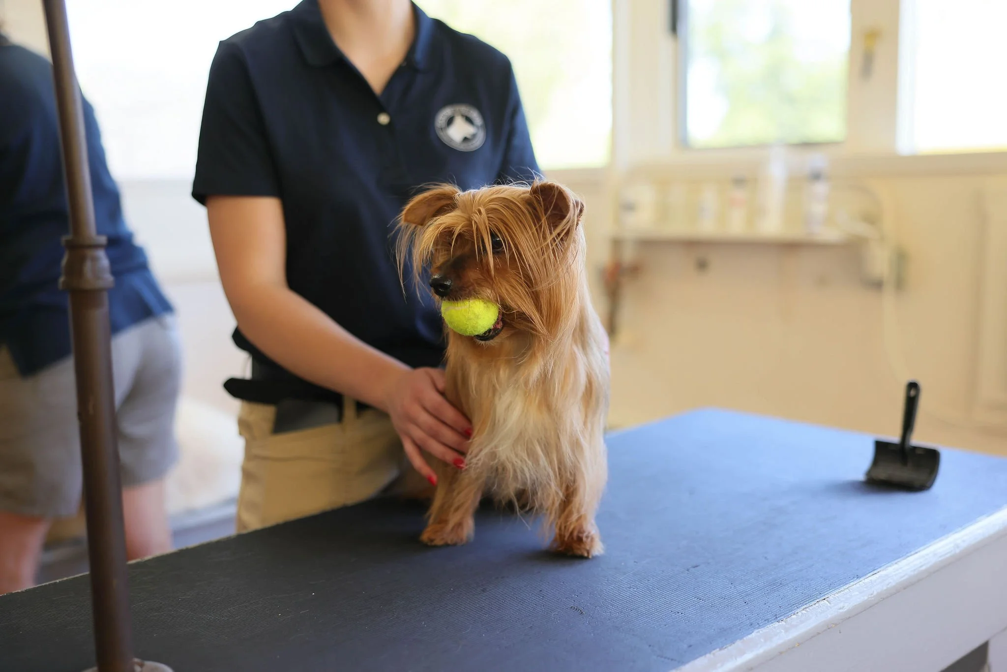 CanineCollege26-469.jpg