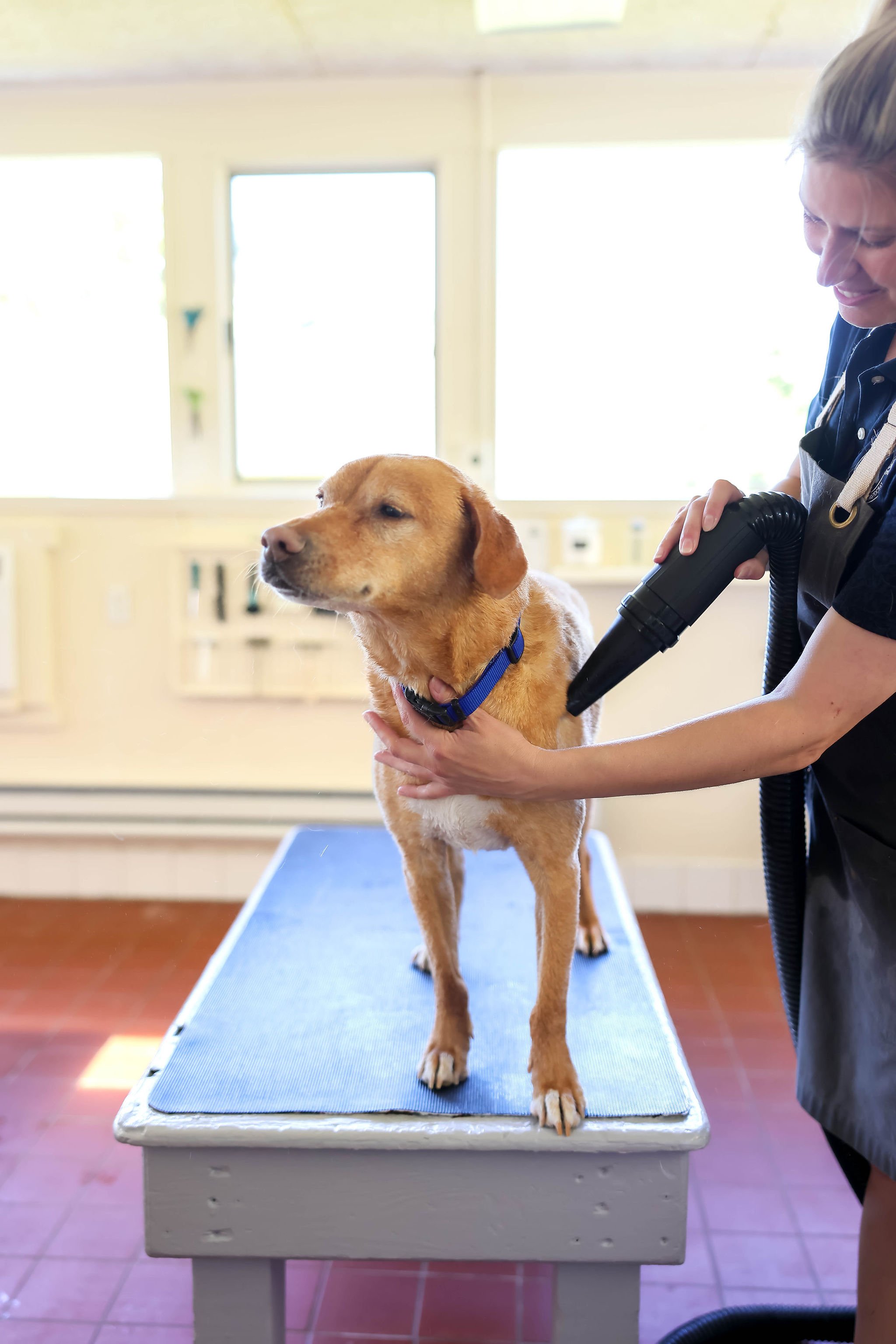 CanineCollege26-556.jpg