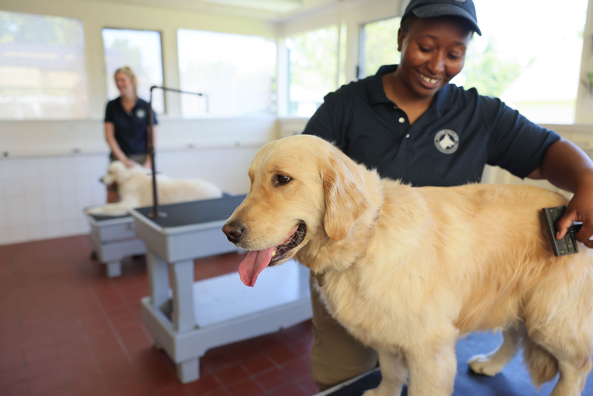 CanineCollege26-436.jpg