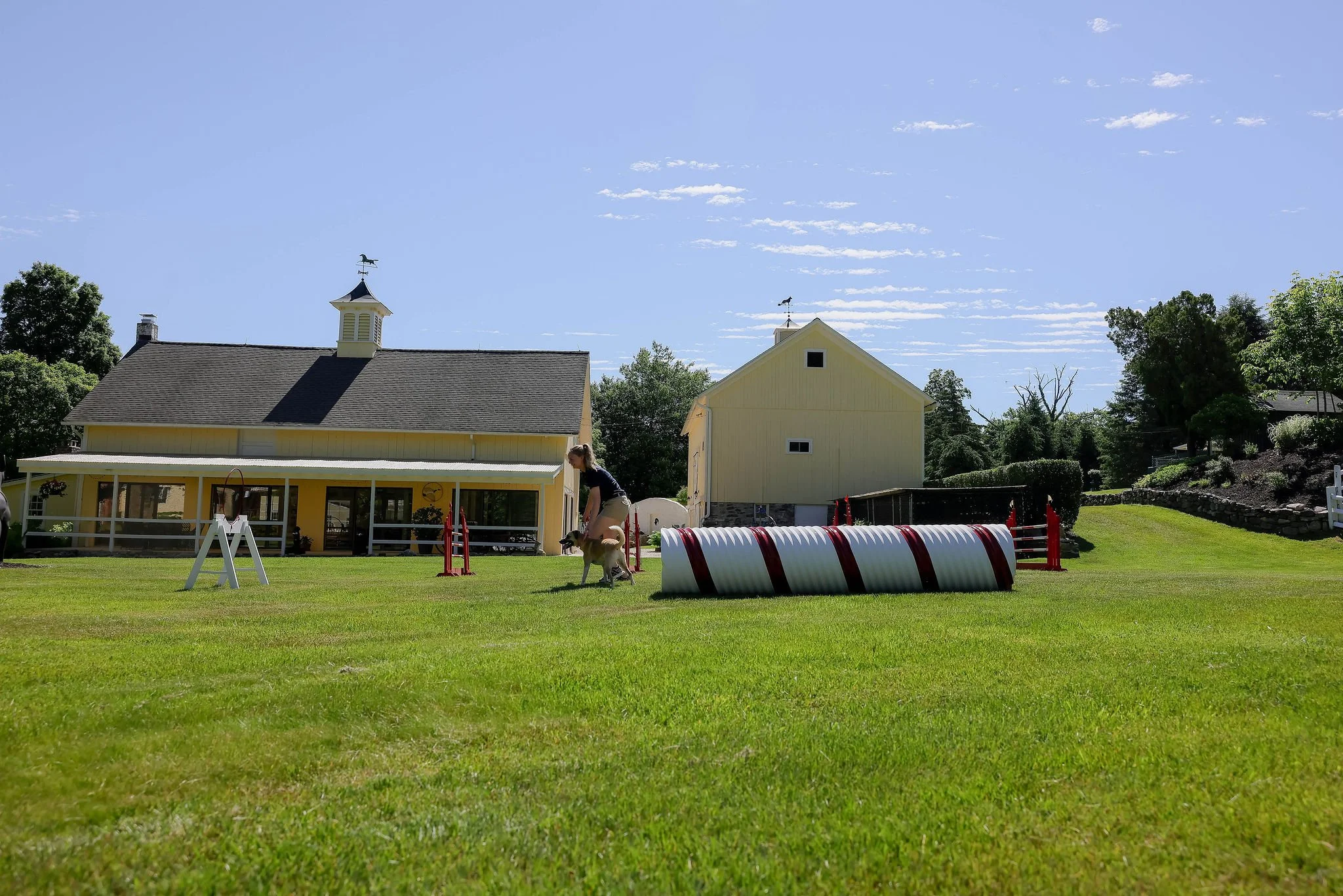 CanineCollege26-339.jpg