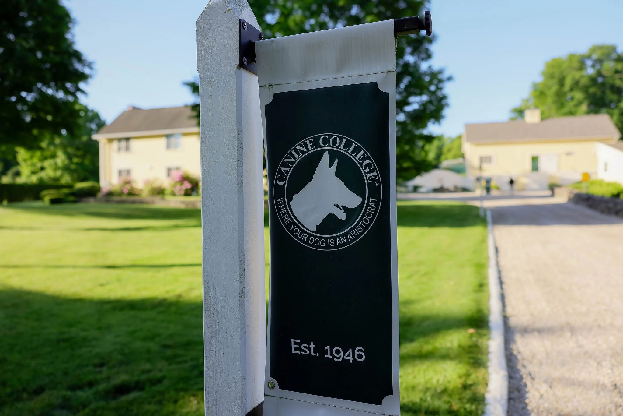 A sign with the Catnip Colege logo featuring a silhouette of a dog's head and the phrase "Where your dog is an aristocrat," established in 1946, is attached to a white post. The background shows a grassy area, residential buildings, trees, and a blue sky.