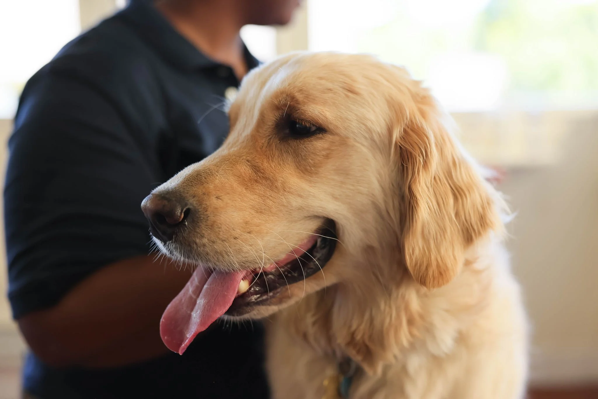 CanineCollege26-444.jpg