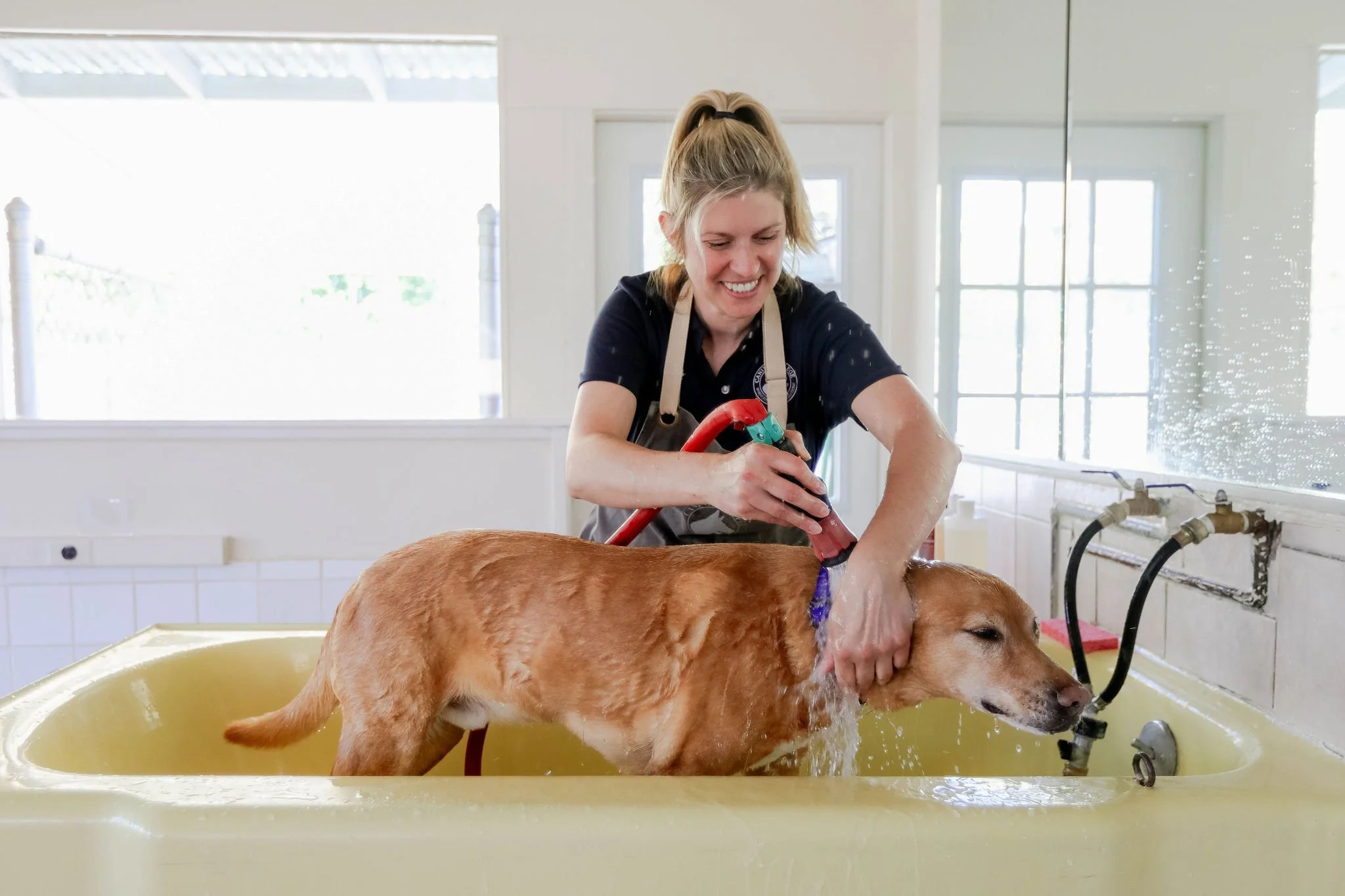 CanineCollege26-532.jpg