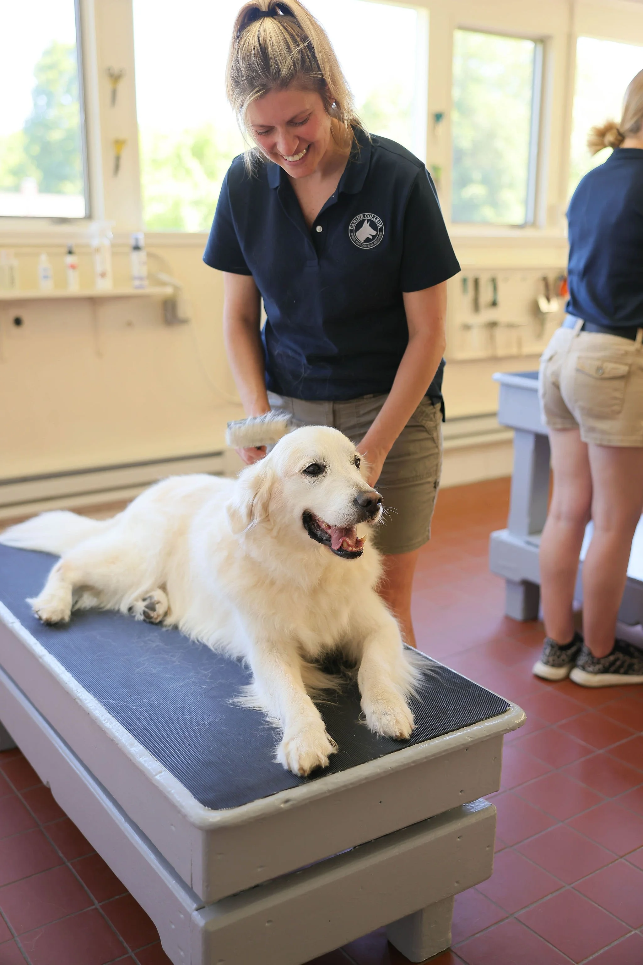 CanineCollege26-475.jpg
