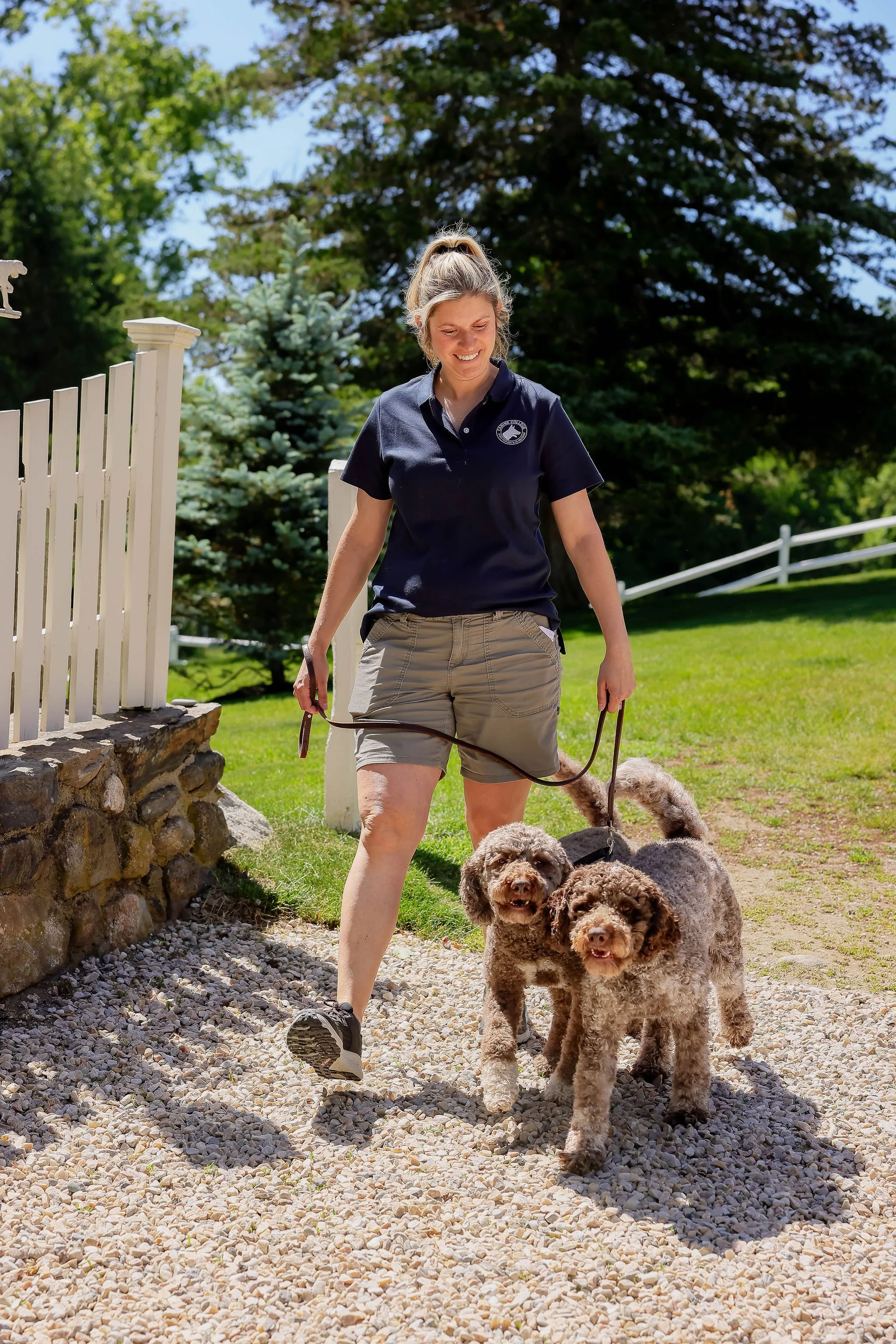 A woman walking four poodles on a gravel pathway outdoors on a sunny day, with green trees and white fence in the background.
