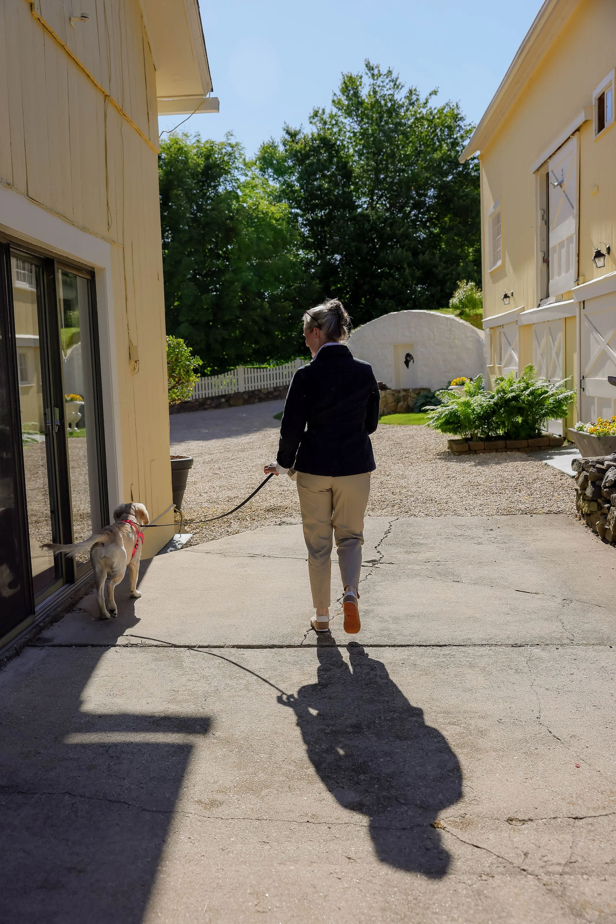 CanineCollege26-174.jpg