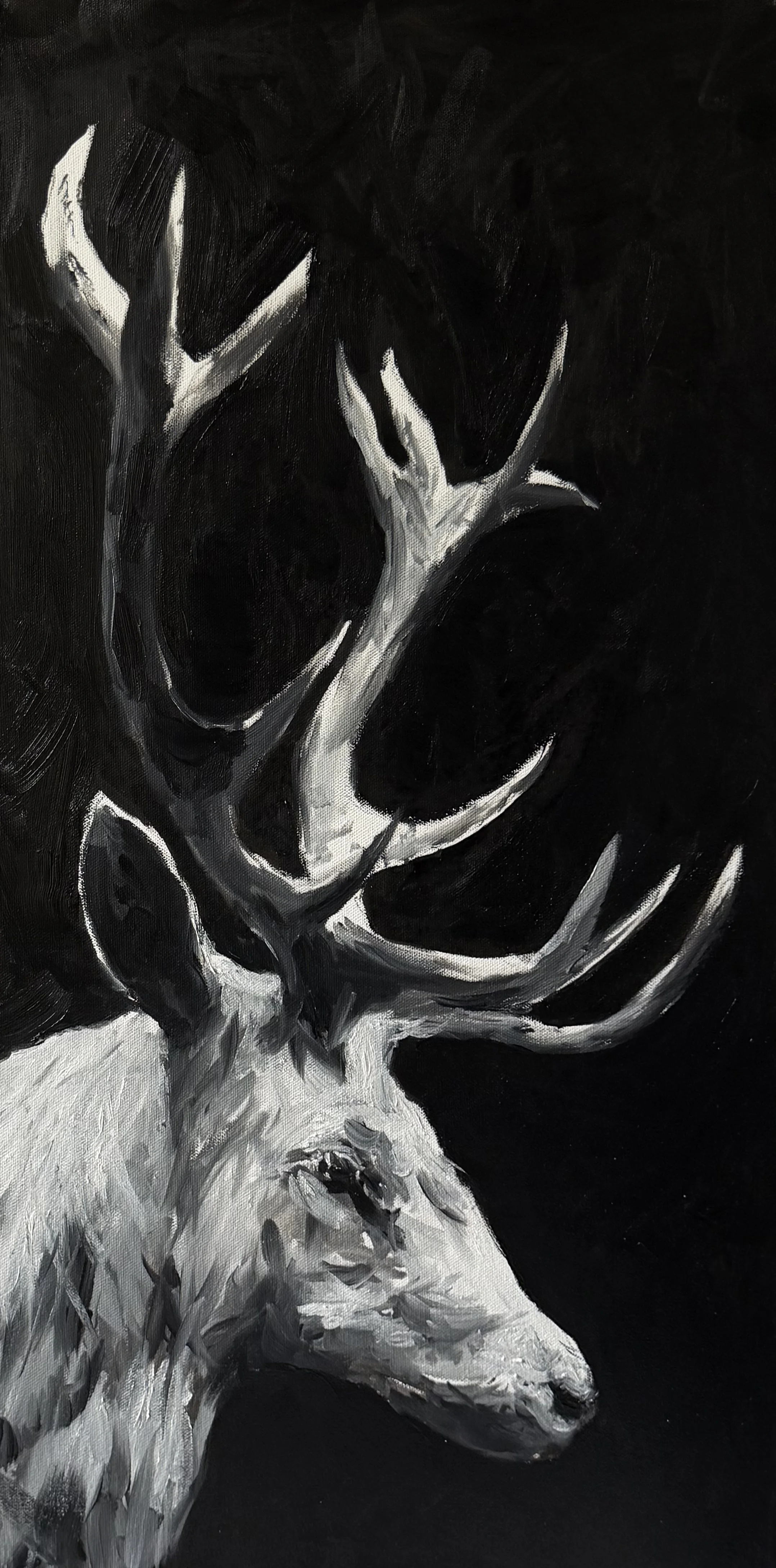 A black and white painting of a deer's head with prominent antlers against a dark background.
