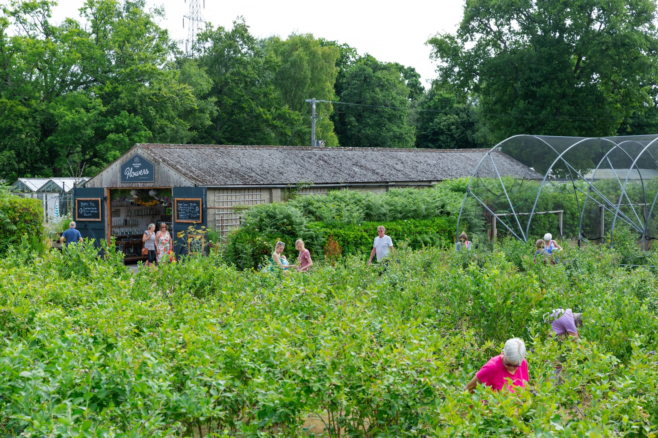 BrothersFarm-61.jpg
