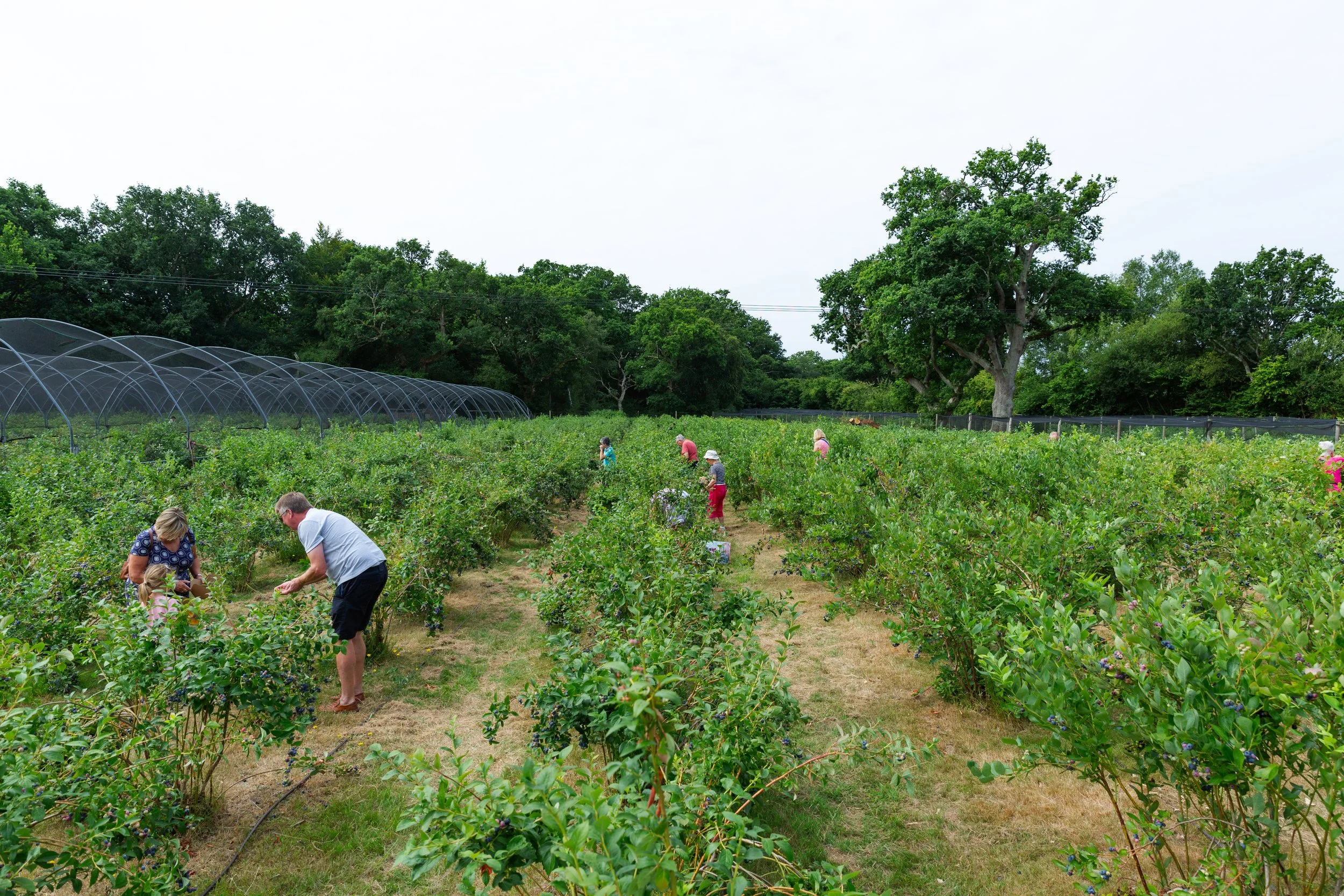 BrothersFarm-51.jpg