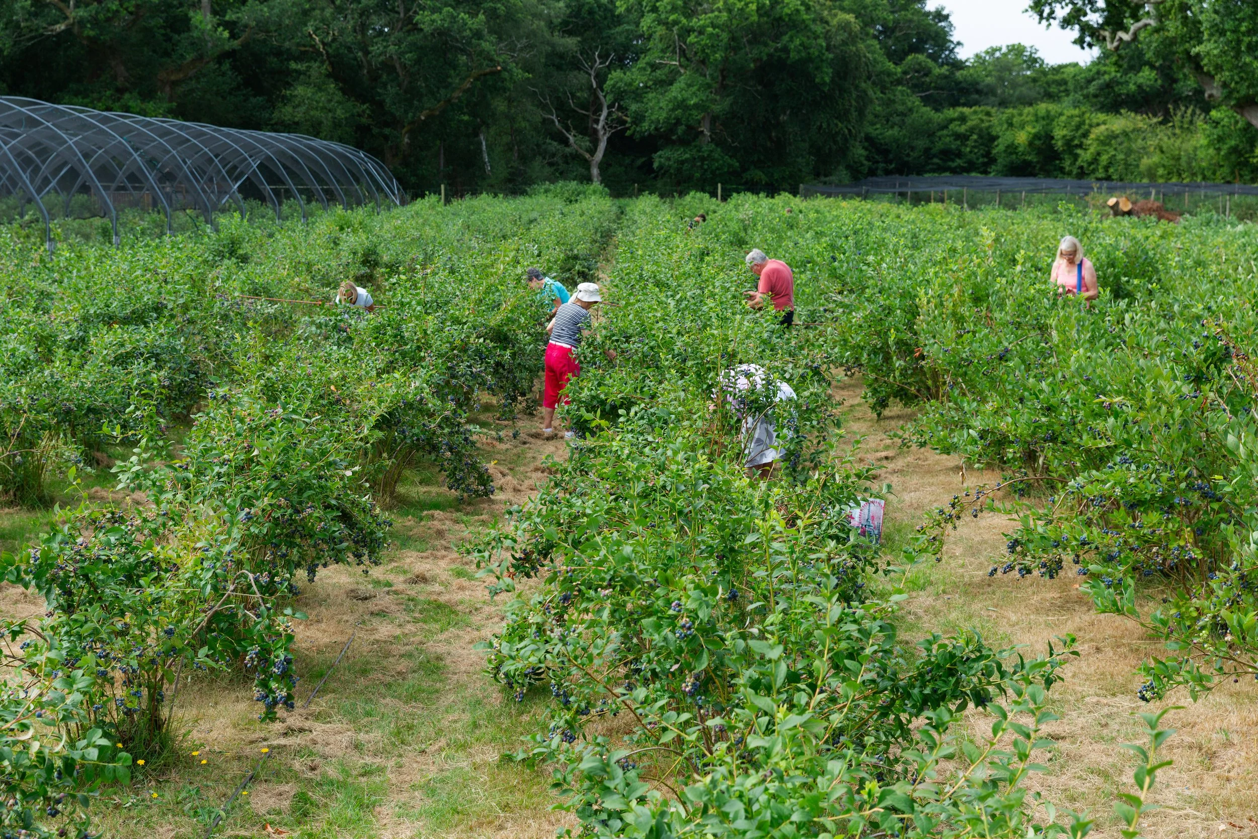 BrothersFarm-54.jpg