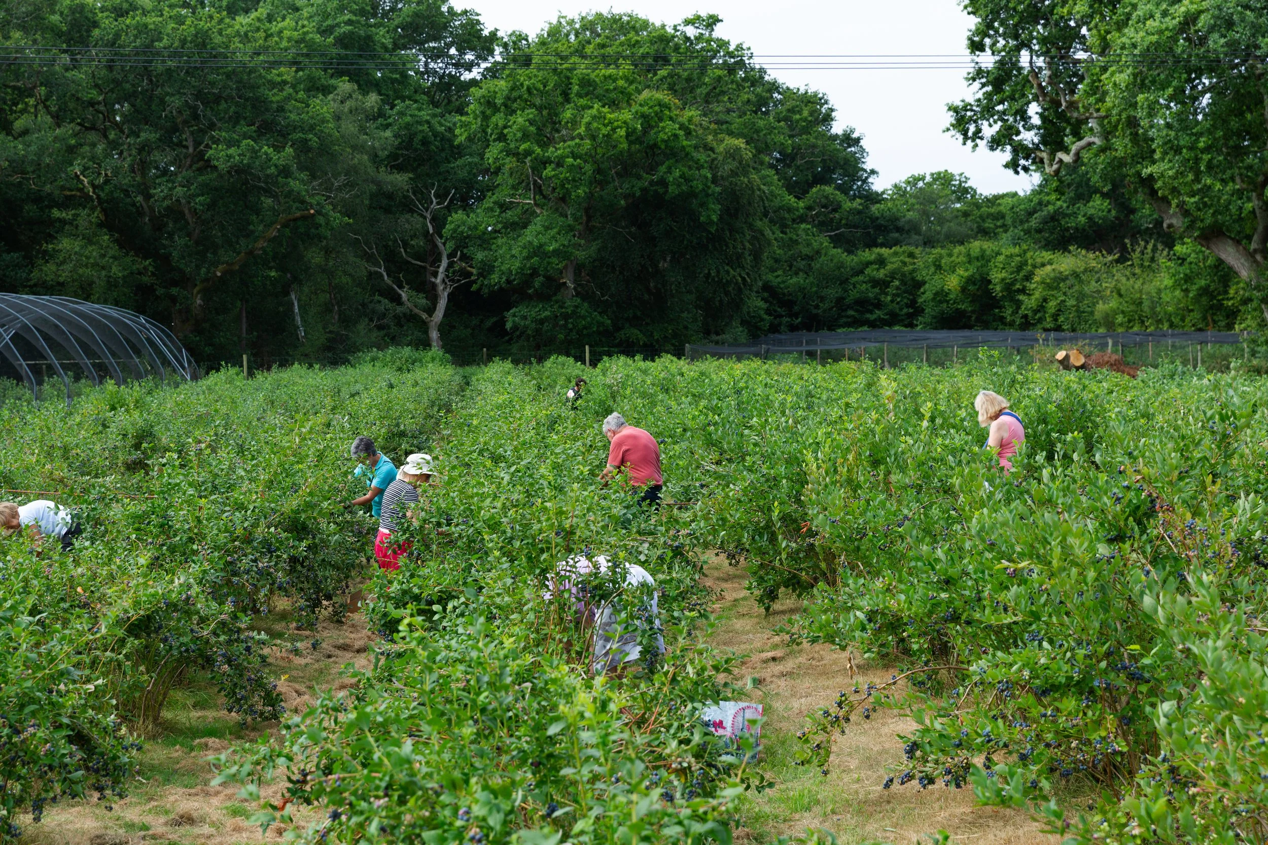 BrothersFarm-56.jpg