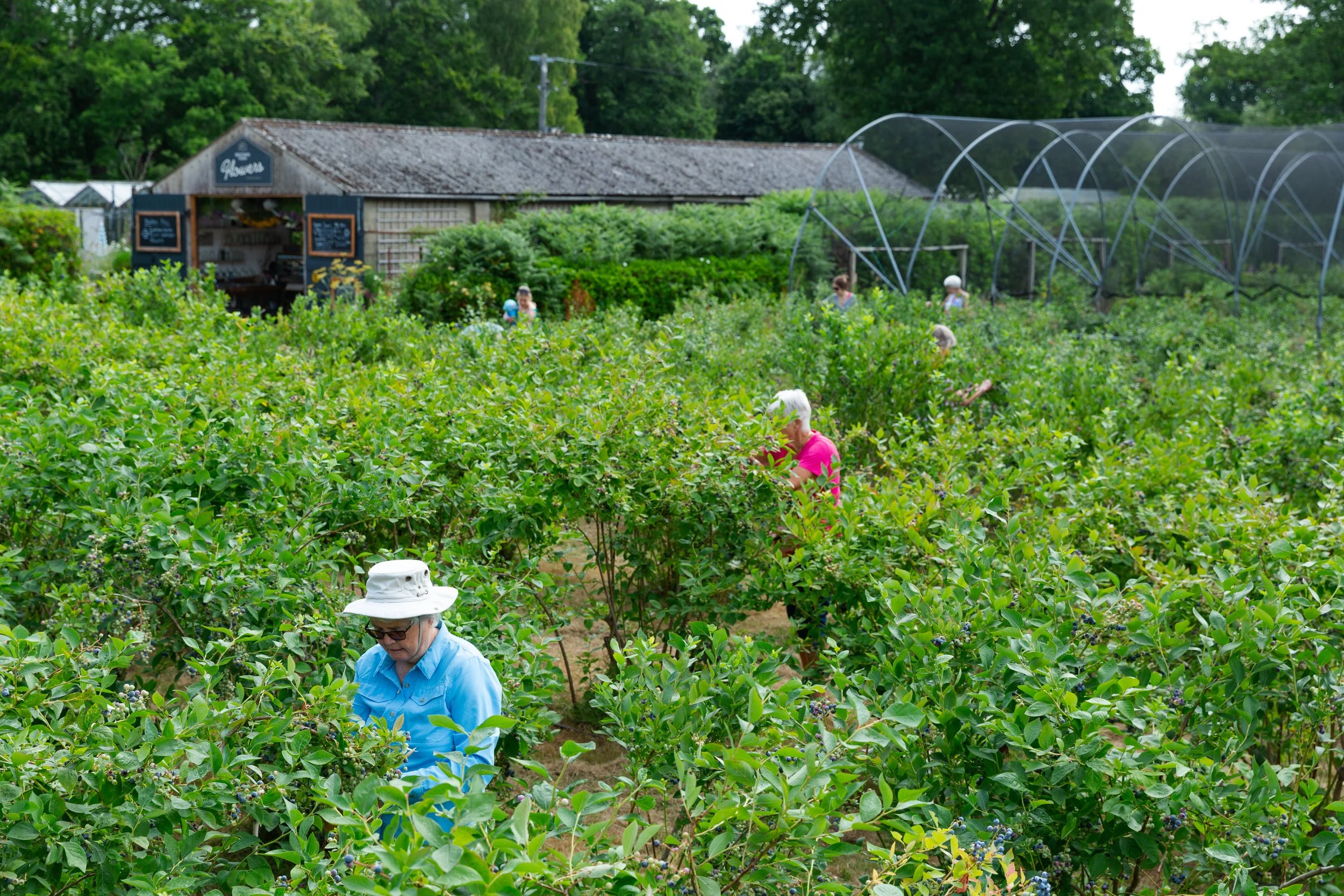 BrothersFarm-60.jpg