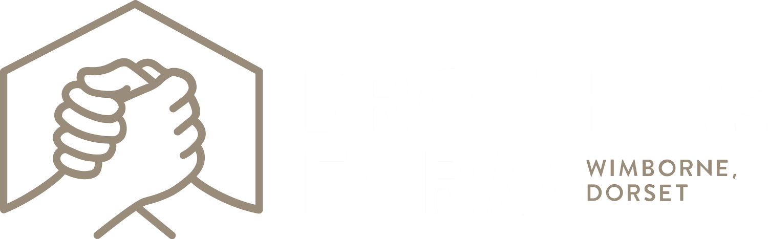 Your Site Title
