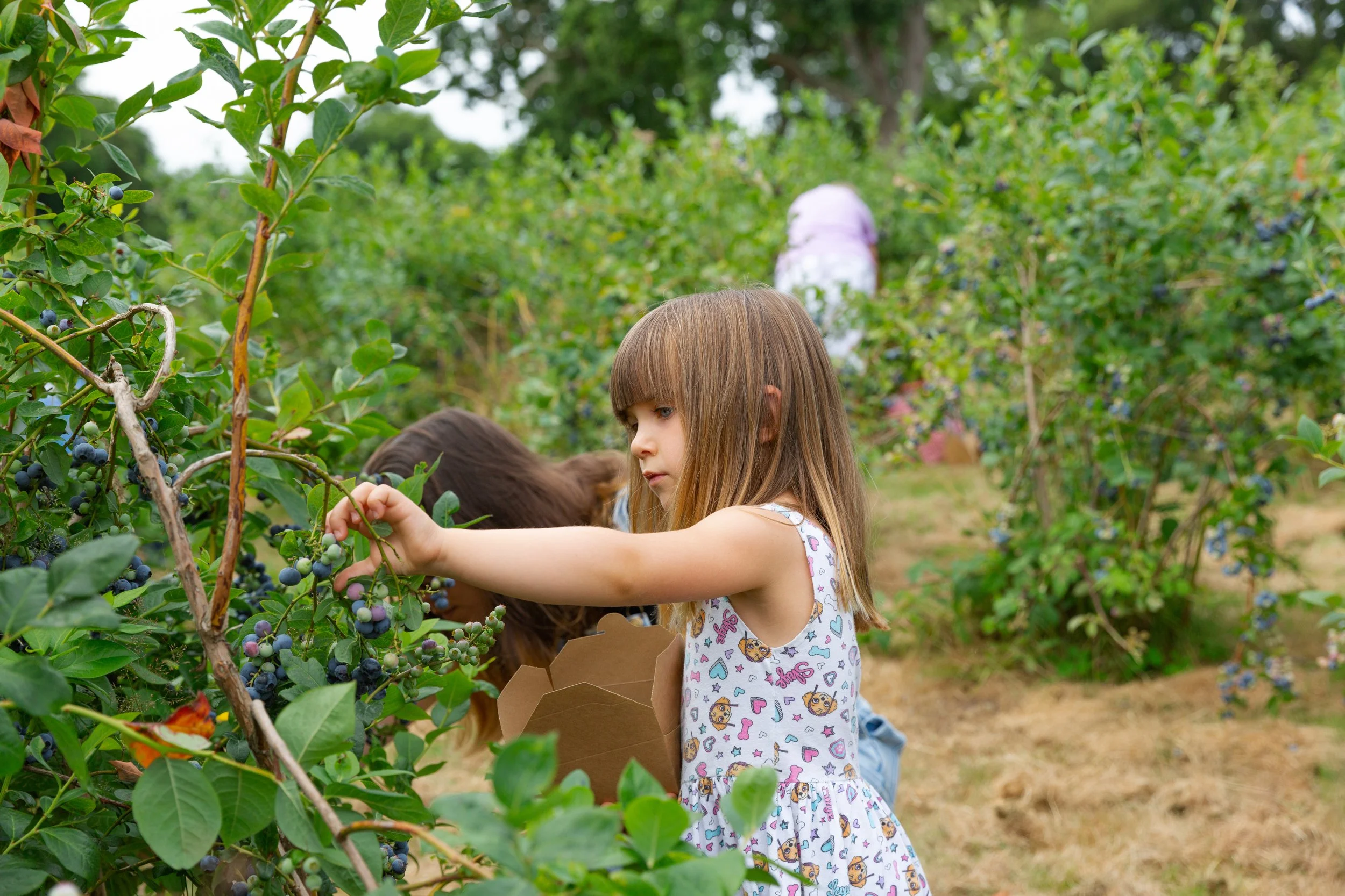 BrothersFarm-107.jpg