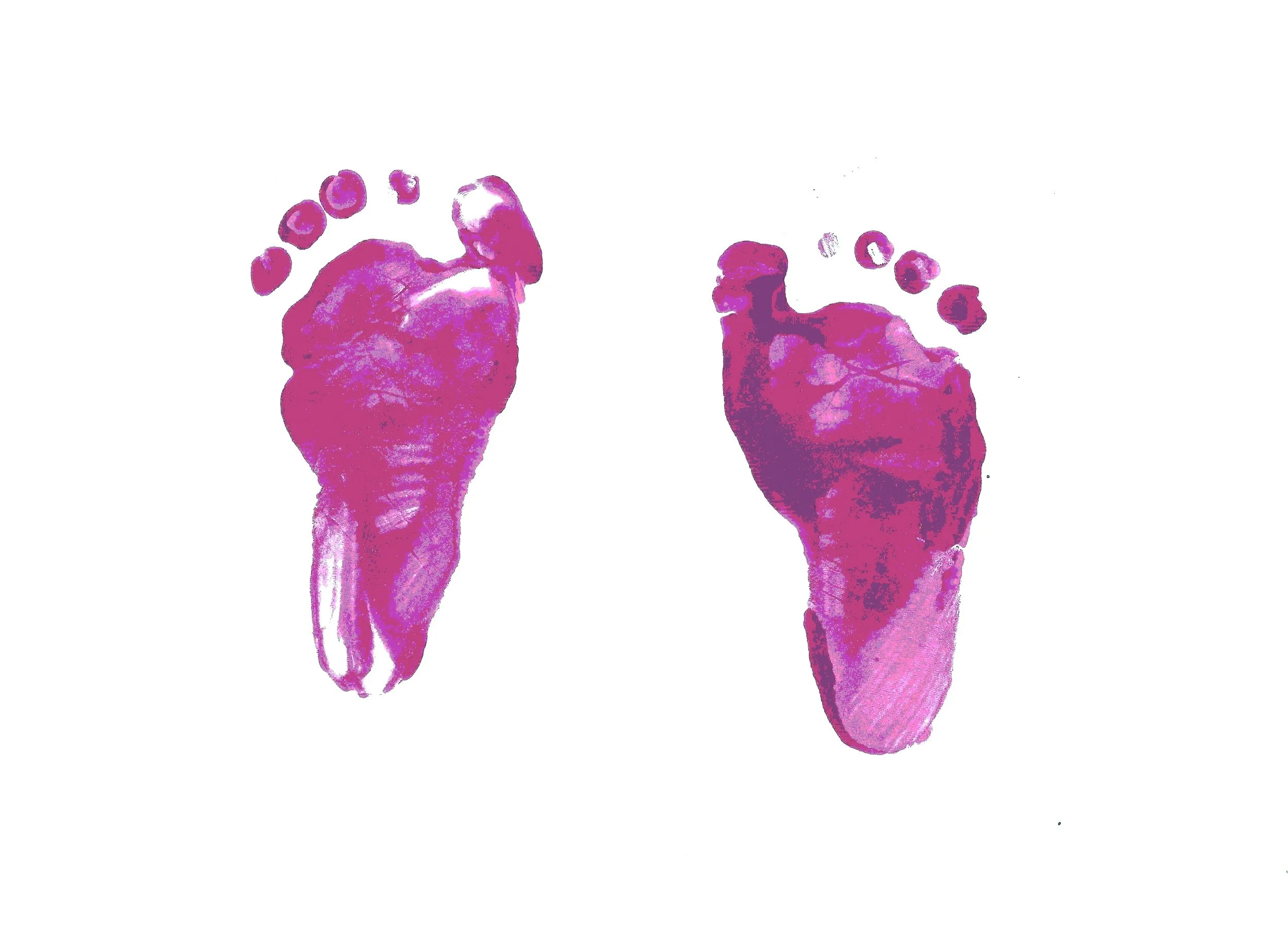 Guide to Barefoot Shoe Fit