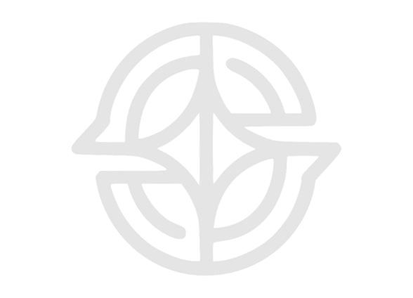 ALCHEMY STRATEGIC ADVISORY
